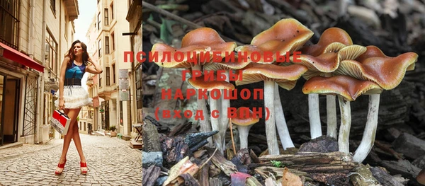 крисы Пестово